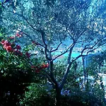 アパート 1 - Modern W Big Garden & Terrace W Sea View Vinišće