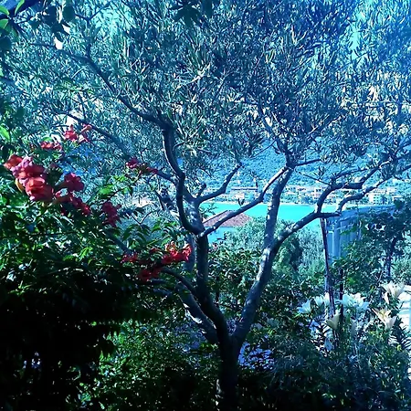 Apartmán 1 - Modern W Big Garden & Terrace W Sea View Vinišće