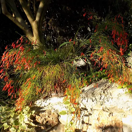 Lejlighed 1 - Modern W Big Garden & Terrace W Sea View *