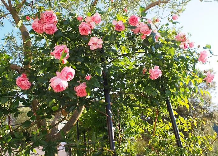 1 - Modern W Big Garden & Terrace W Sea View Vinišće