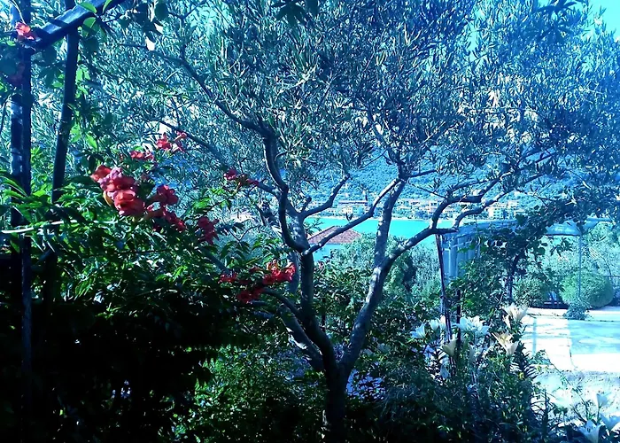 Lejlighed 1 - Modern W Big Garden & Terrace W Sea View Vinišće