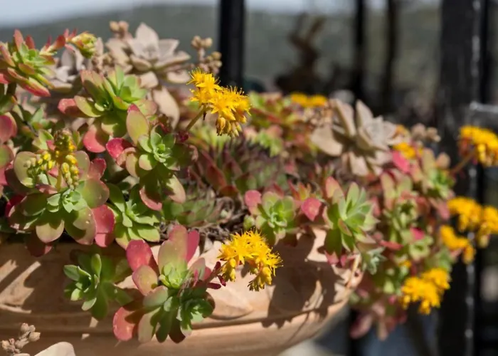 1 - Modern W Big Garden & Terrace W Sea View * Vinišće