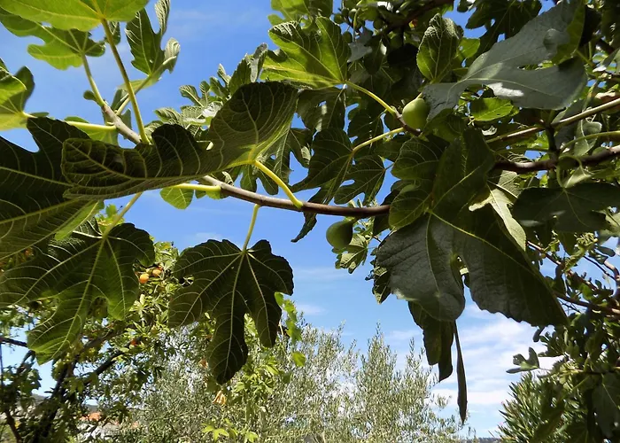 1 - Modern W Big Garden & Terrace W Sea View Lejlighed *