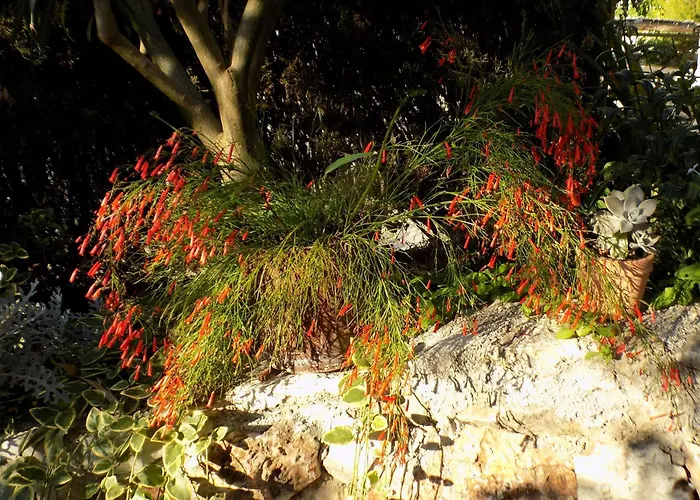 Lejlighed 1 - Modern W Big Garden & Terrace W Sea View *